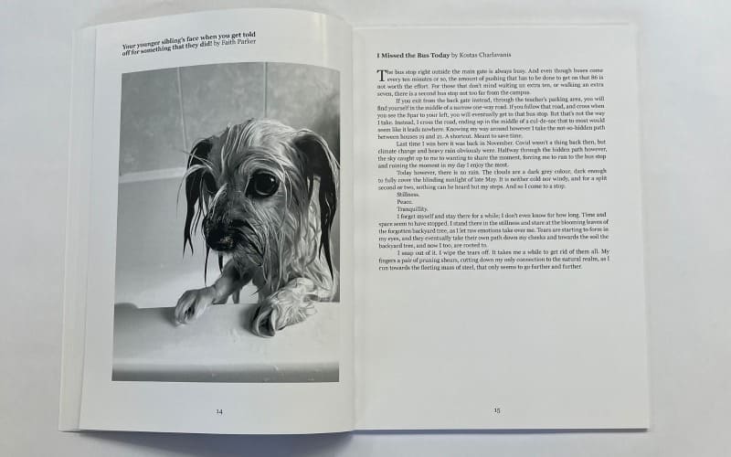 book printing for Bolton review